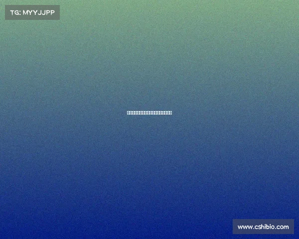 世界羽联高级赛事、世界羽联公开赛级别